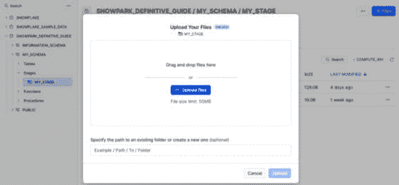 图 2.21 – 上传自定义包