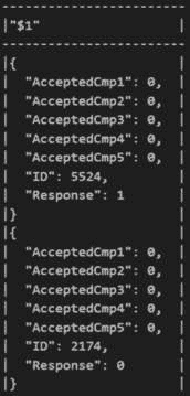 图 3.2 – 营销信息表